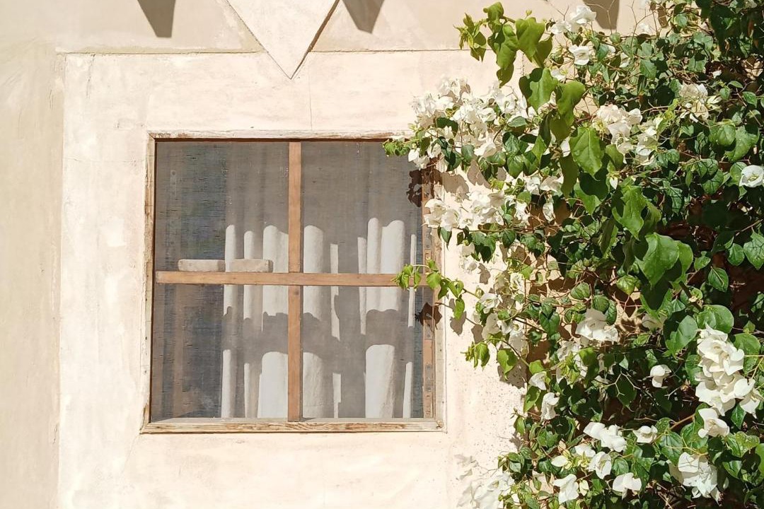 Photo of Others in Siwa