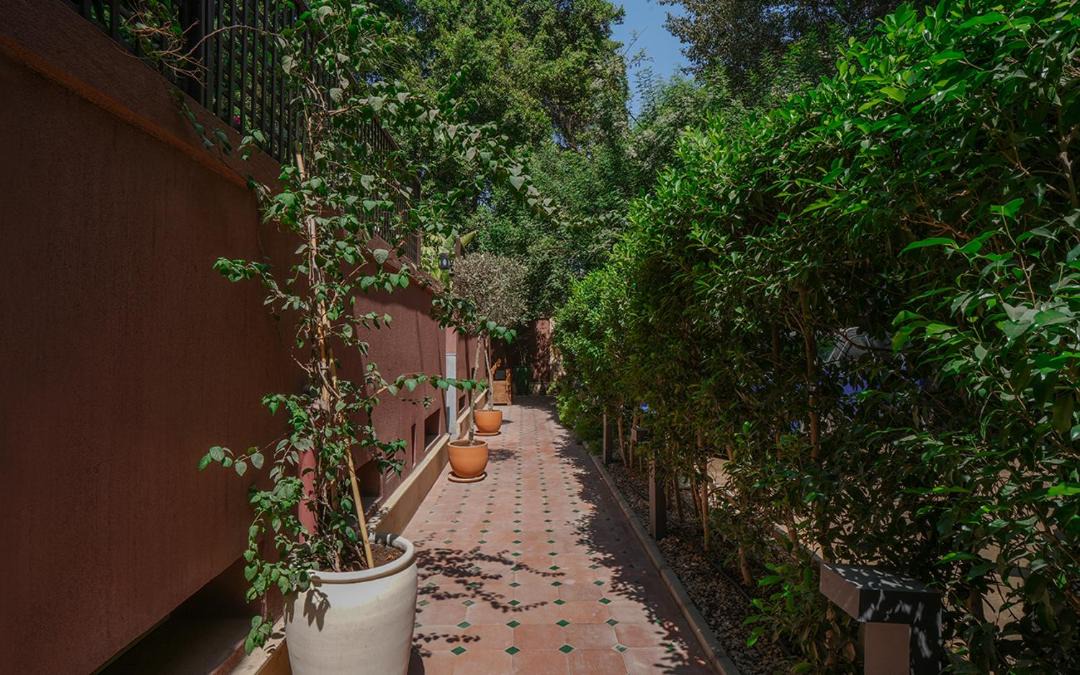 Photo of Others in Maadi