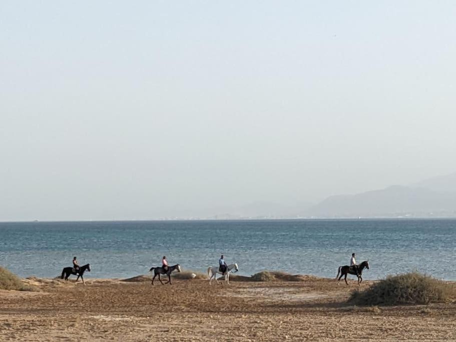 Photo of Others in Soma Bay