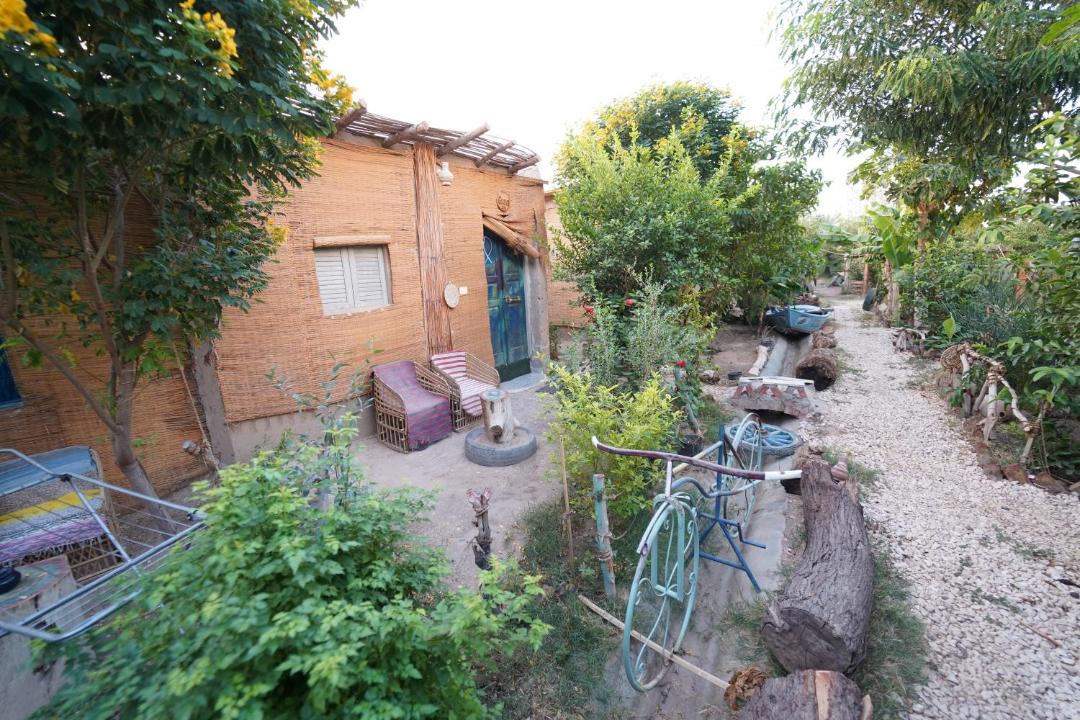 Photo of Others in Luxor