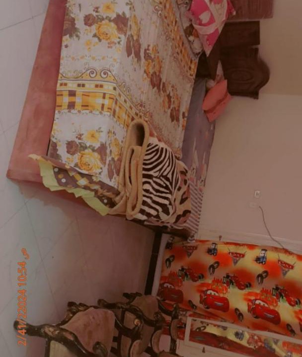 Photo of Others in Ismailia