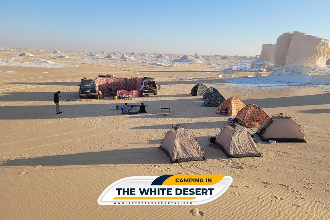 Photo of Others in Dakhla
