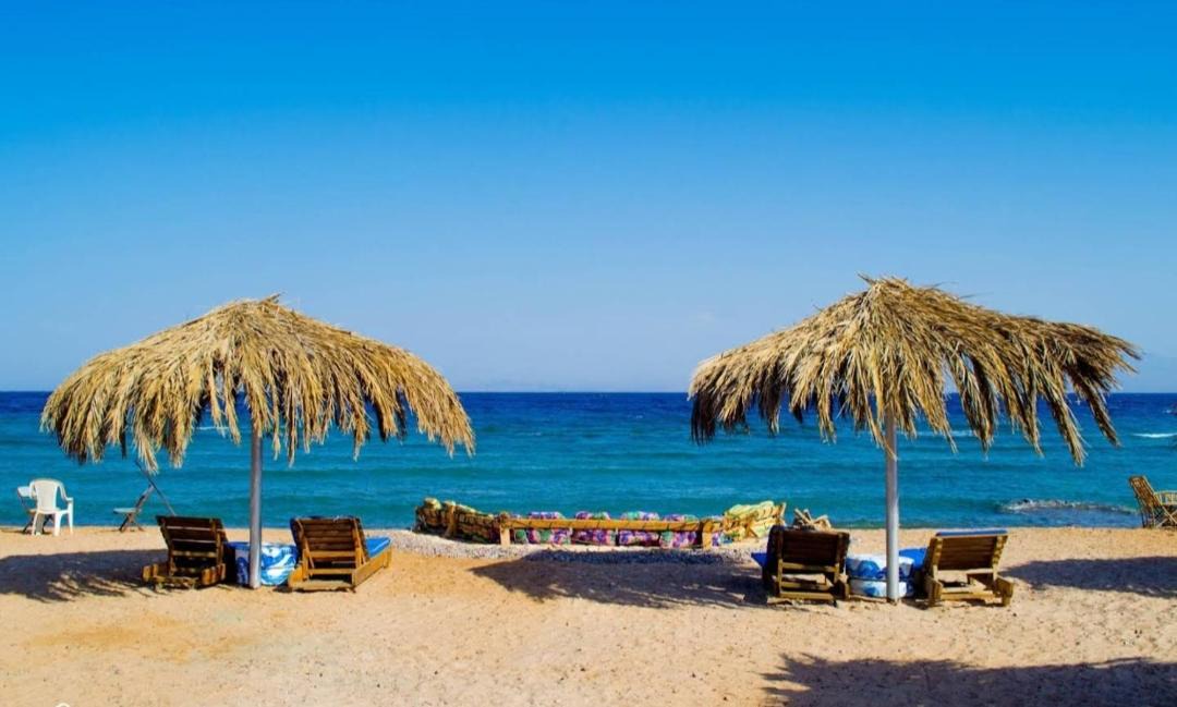 Photo of Others in Nuweiba