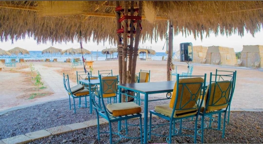 Photo of Others in Nuweiba