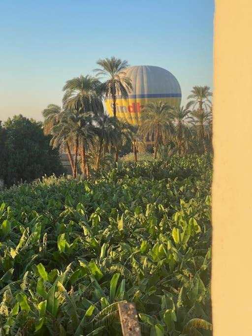 Photo of Others in Luxor