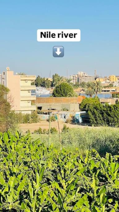 Photo of Others in Luxor