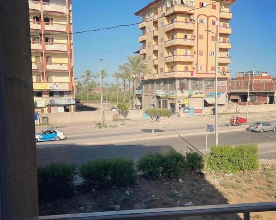 Photo of Others in New Damietta