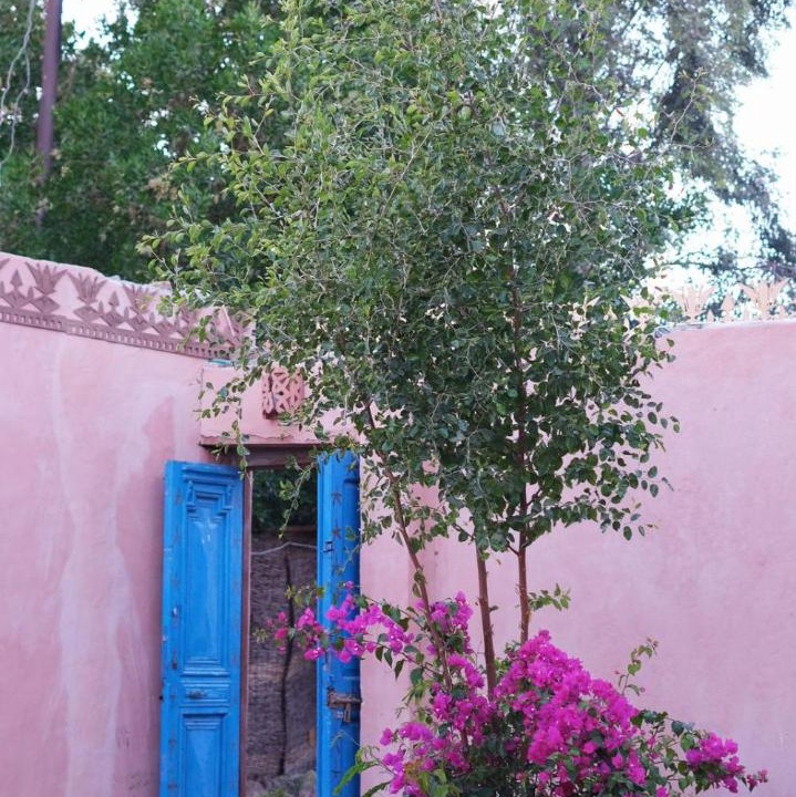 Photo of Others in Luxor