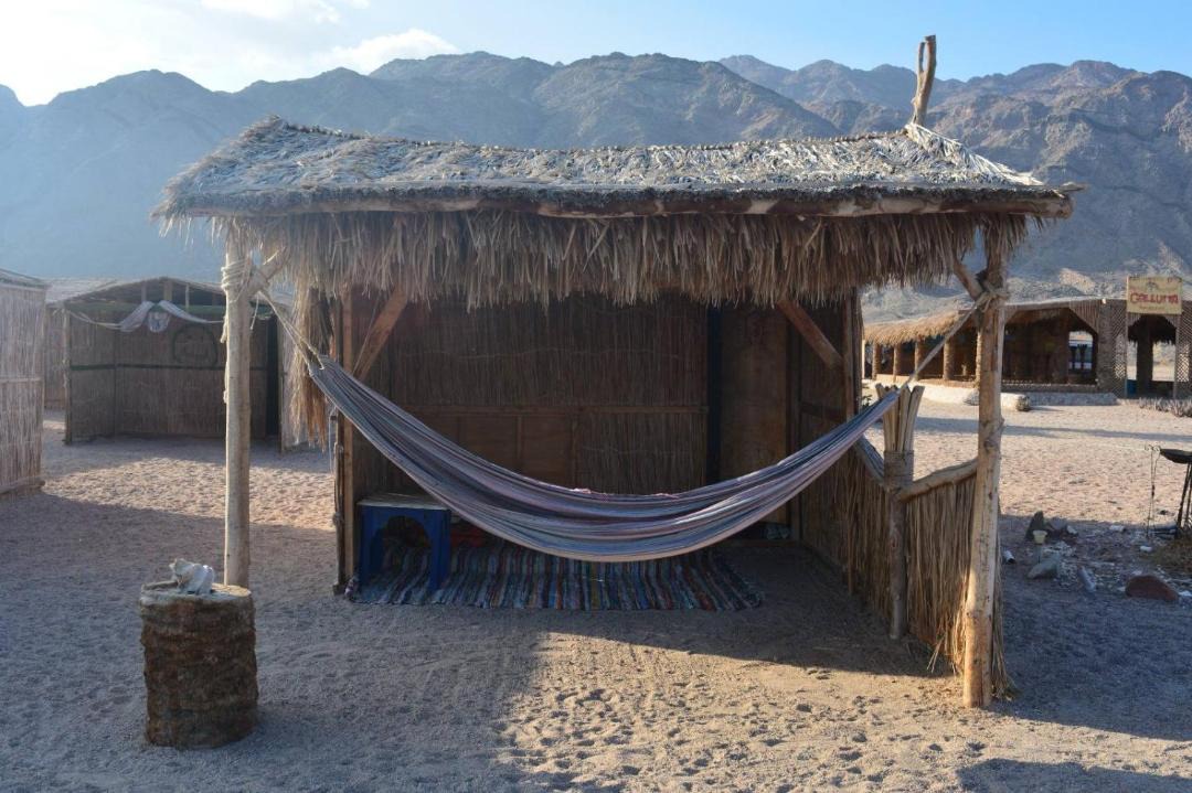 Photo of Others in Dahab