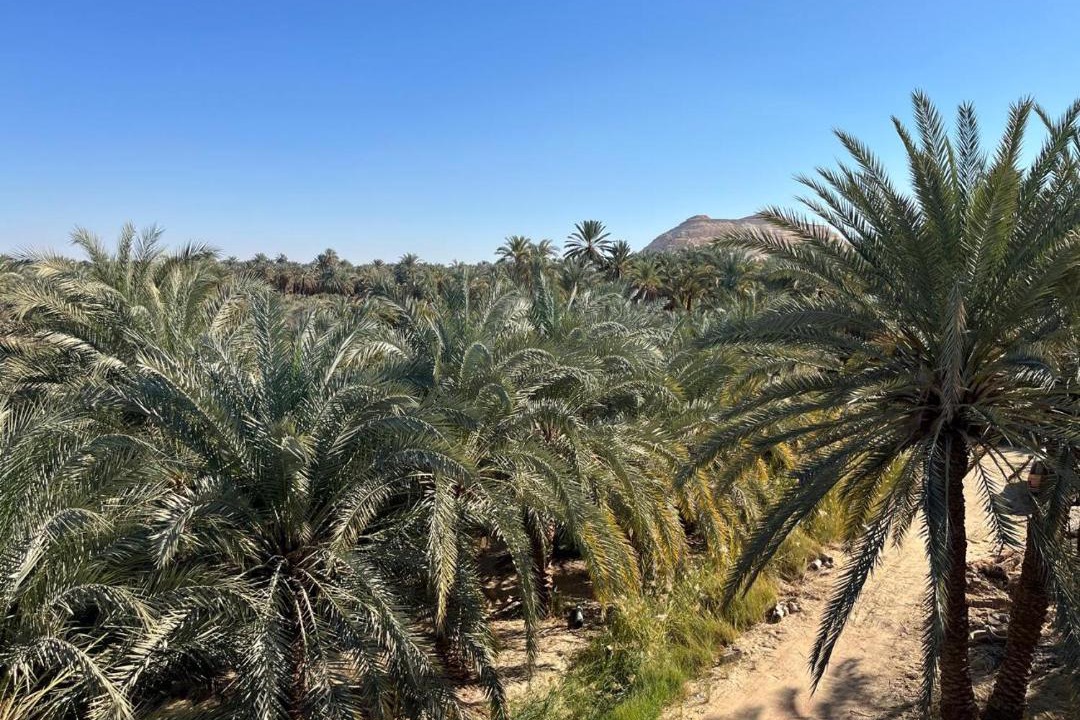 Photo of Others in Siwa