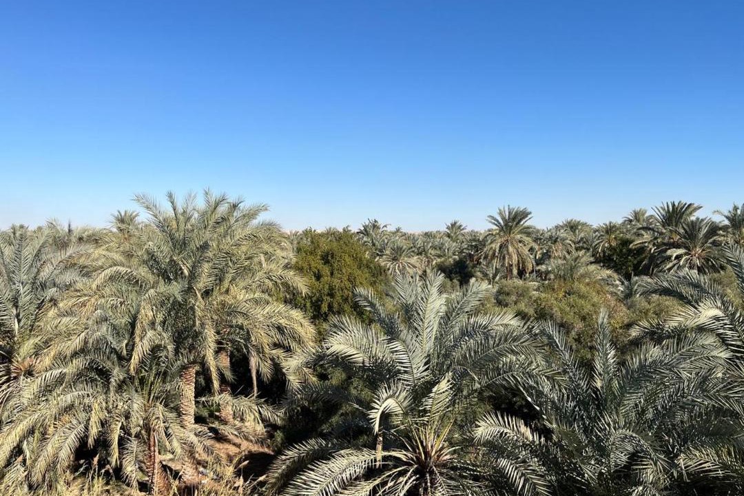 Photo of Others in Siwa