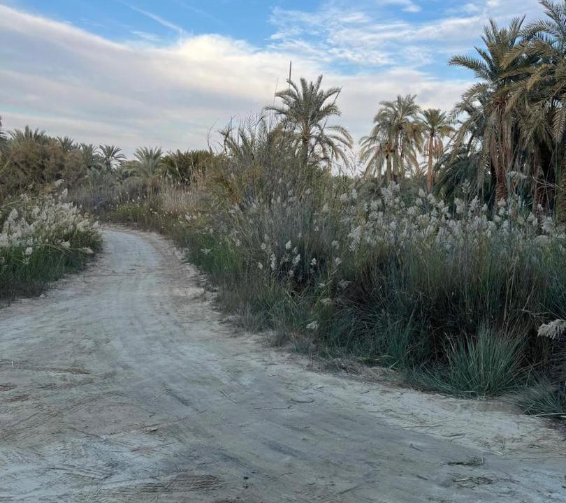 Photo of Others in Siwa