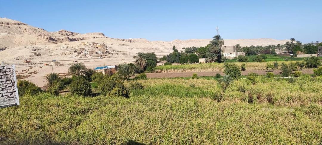 Photo of Others in Luxor