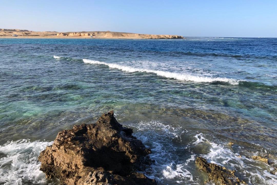 Photo of Others in Marsa Alam