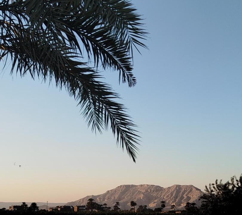 Photo of Others in Luxor