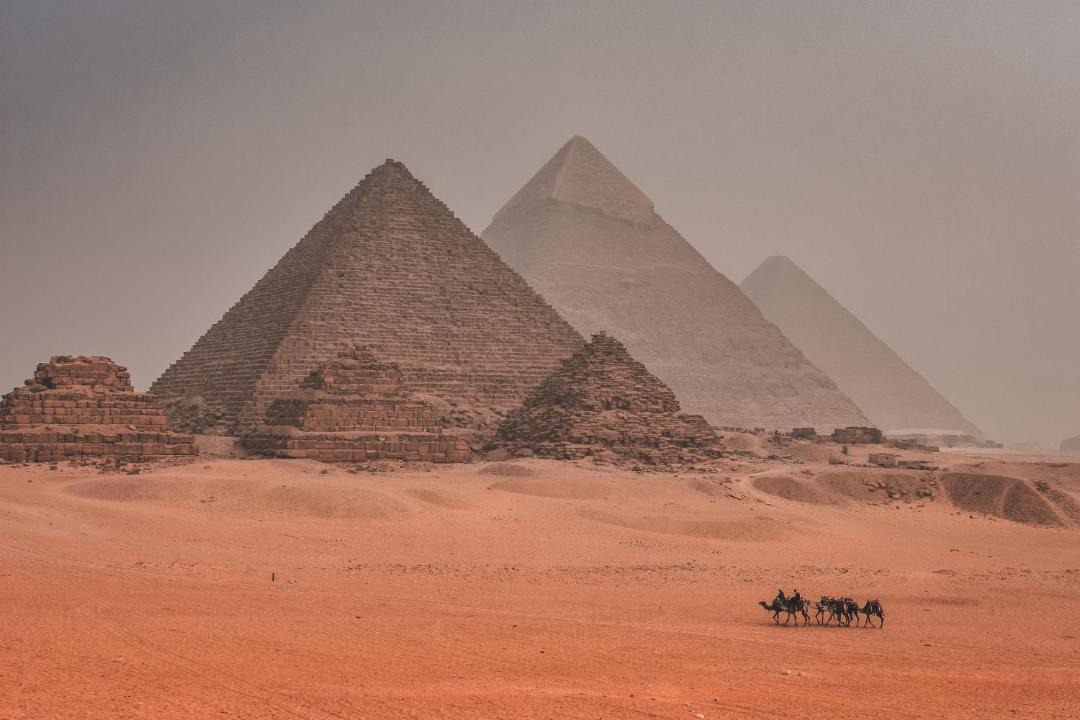 Photo of Others in Pyramids Gardens