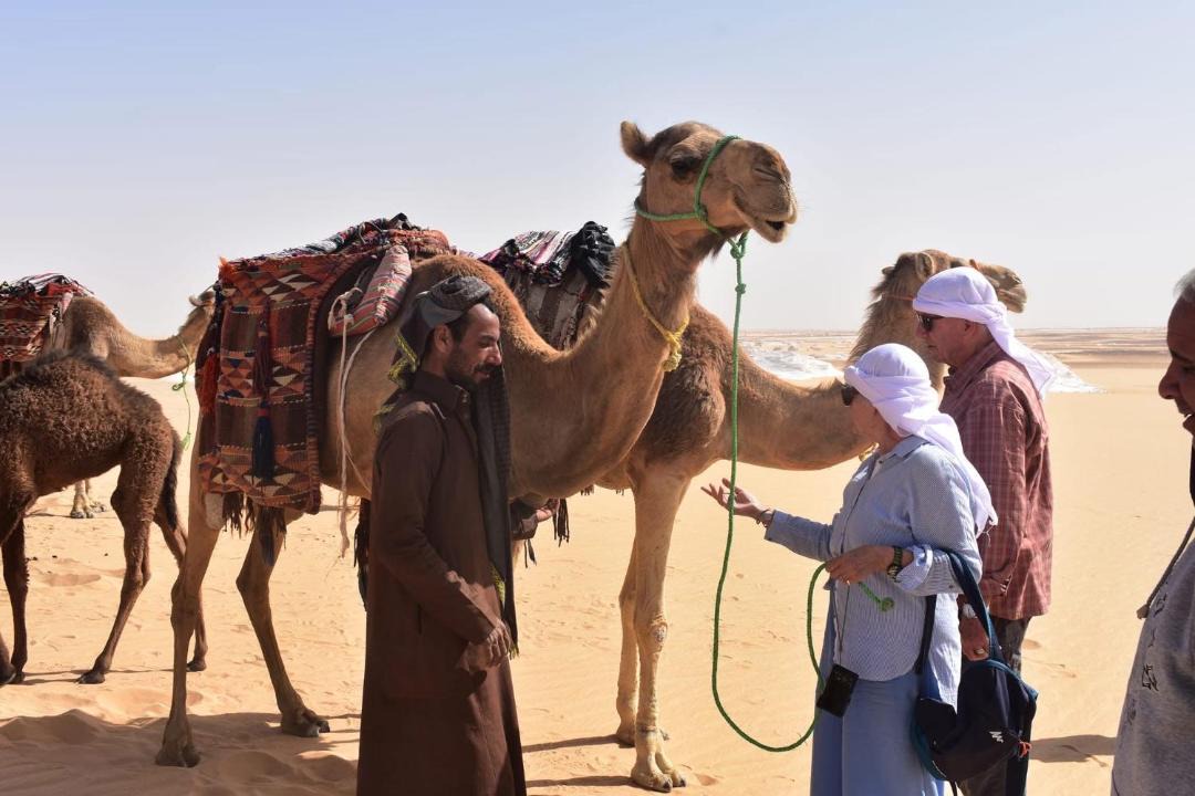 Photo of Others in Qasr al Farafirah