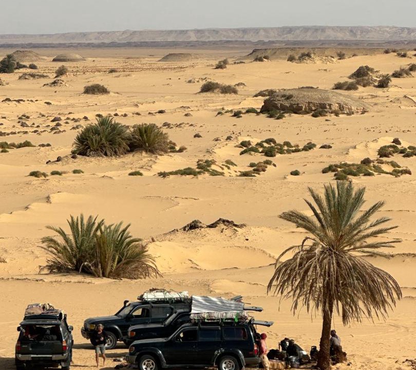 Photo of Others in Al Bawiti