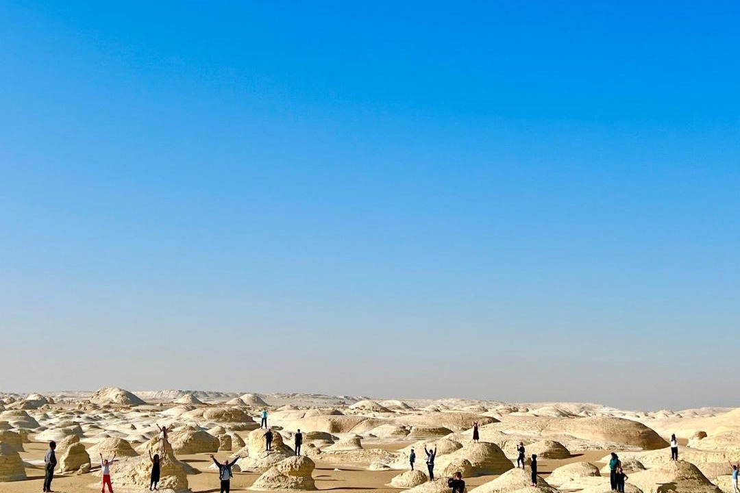 Photo of Others in Al Bawiti
