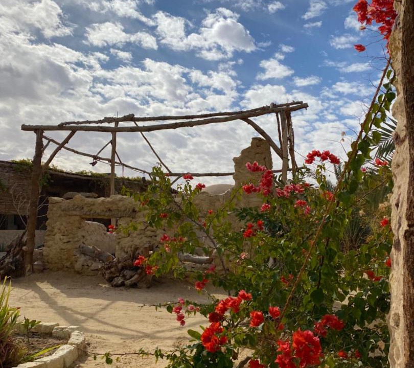 Photo of Others in Siwa