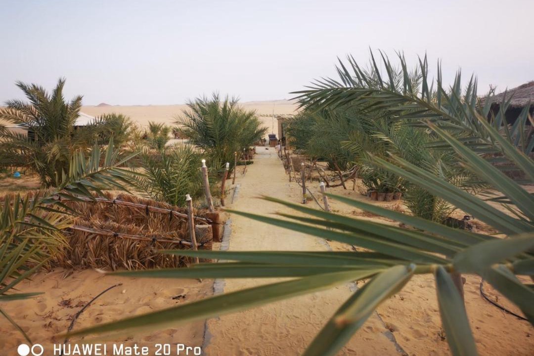 Photo of Others in Siwa