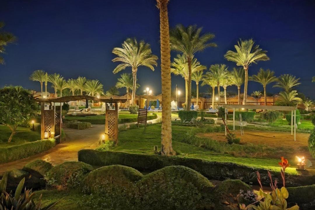 Photo of Others in Marsa Alam