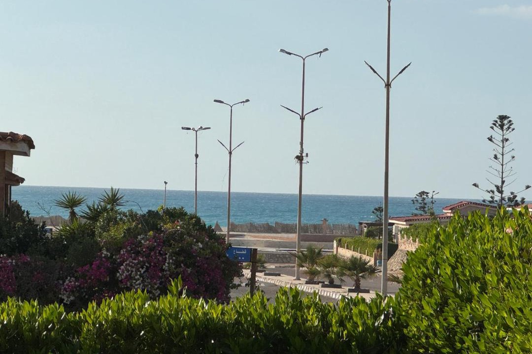 Photo of Others in Borg el Arab