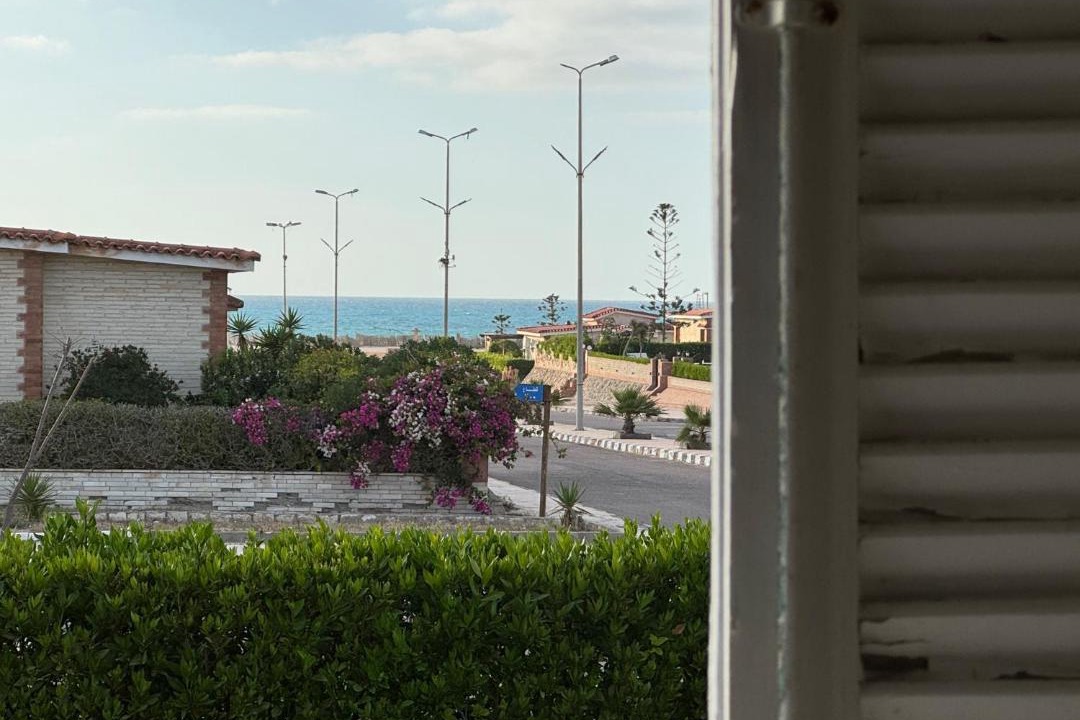 Photo of Others in Borg el Arab