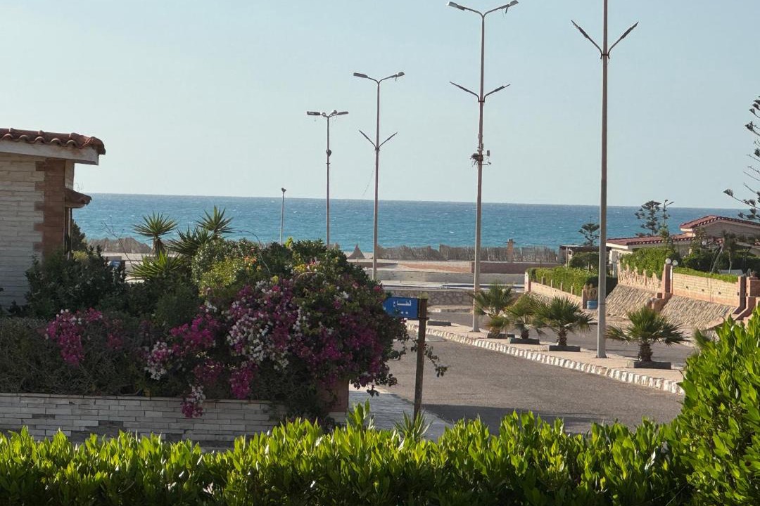 Photo of Others in Borg el Arab
