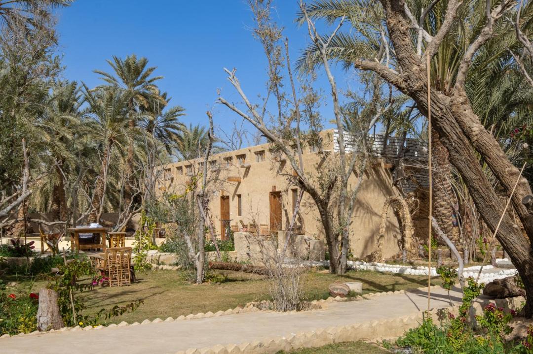 Photo of Others in Siwa