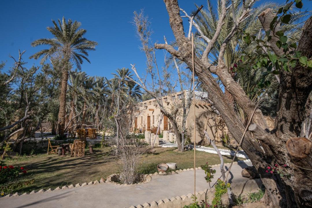 Photo of Others in Siwa