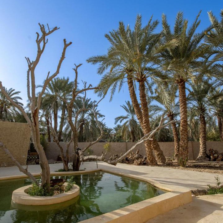 Photo of Others in Siwa