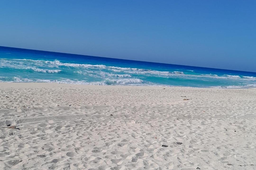 Photo of Others in Borg el Arab