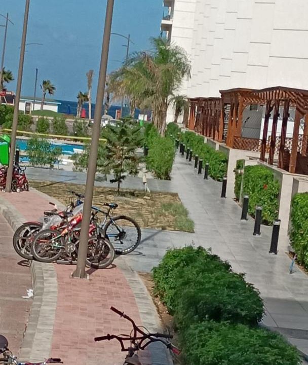 Photo of Others in Al-Manasrah