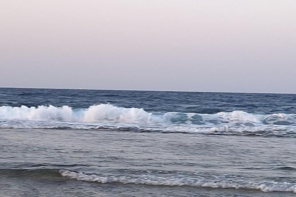 Photo of Others in Marsa Alam