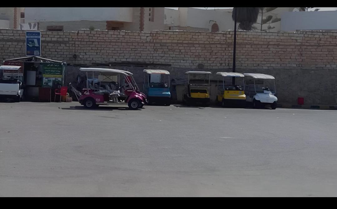 Photo of Others in Qetaa Maryout