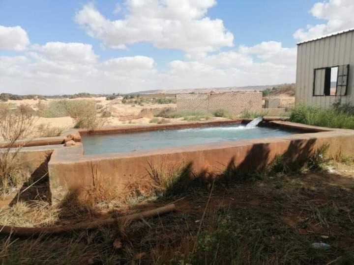 Photo of Others in Al Bawiti