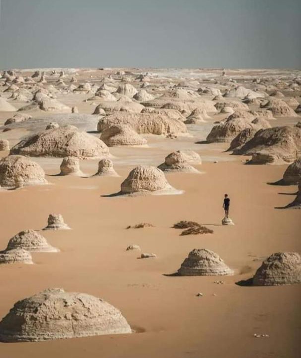 Photo of Others in Al Bawiti