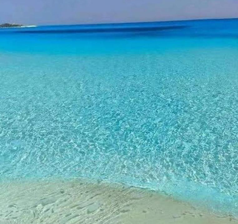 Photo of Others in Marsa Matruh