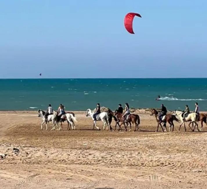 Photo of Others in Al Ahyaa
