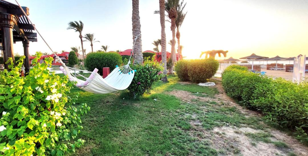Photo of Others in Port Ghalib