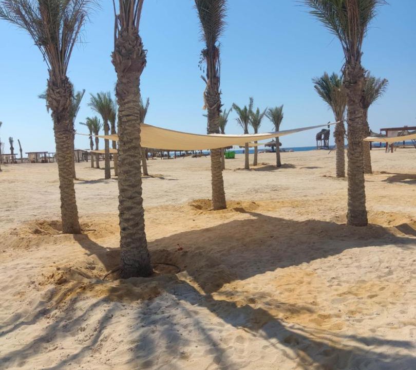 Photo of Others in Alexandria - Mediterranean Coast
