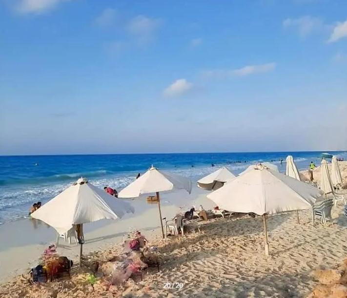 Photo of Others in Marina El Alamein
