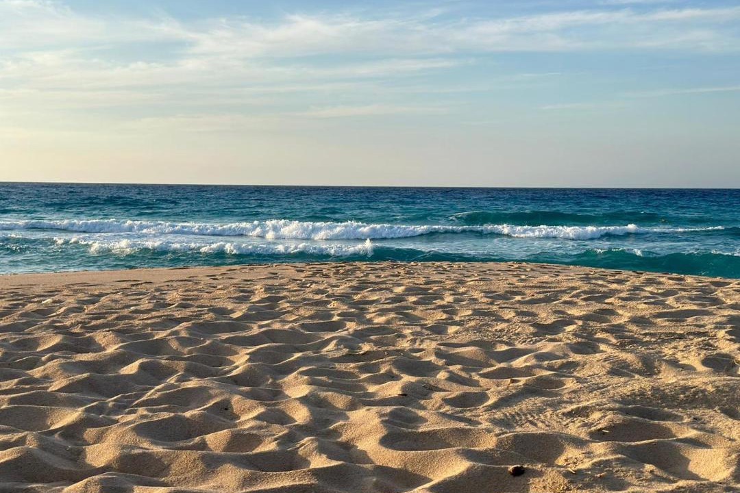 Photo of Others in Alexandria - Mediterranean Coast
