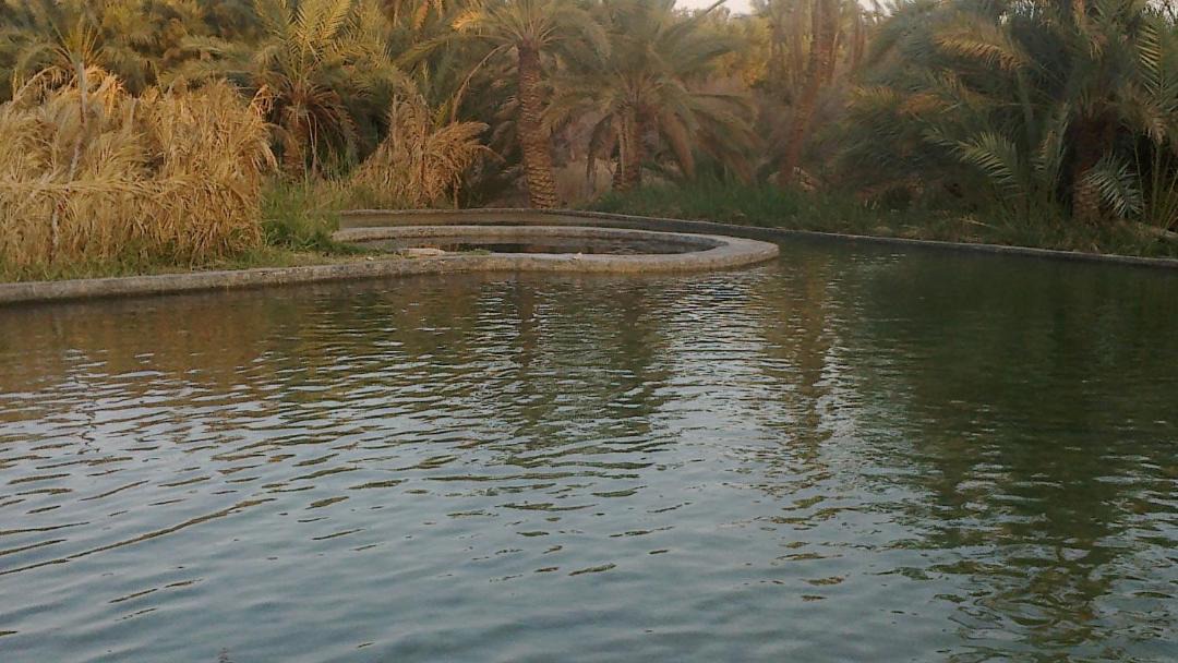 Photo of Others in Siwa