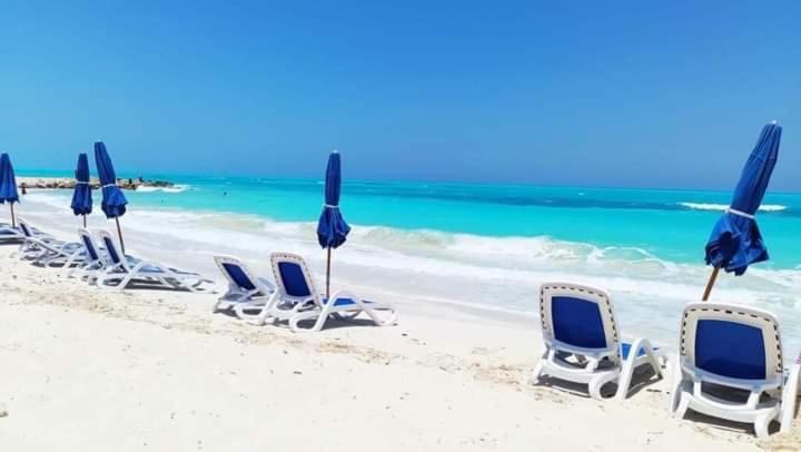 Photo of Others in Marina El Alamein