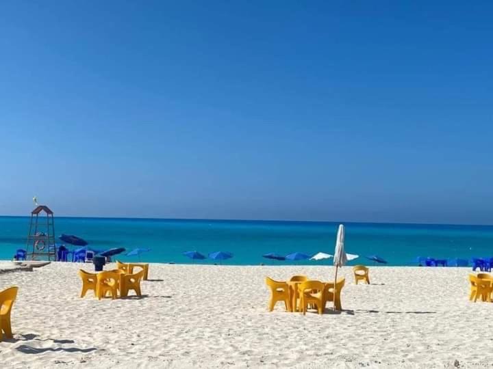 Photo of Others in Marina El Alamein