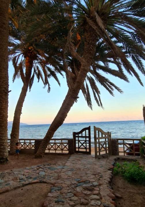 Photo of Others in Dahab