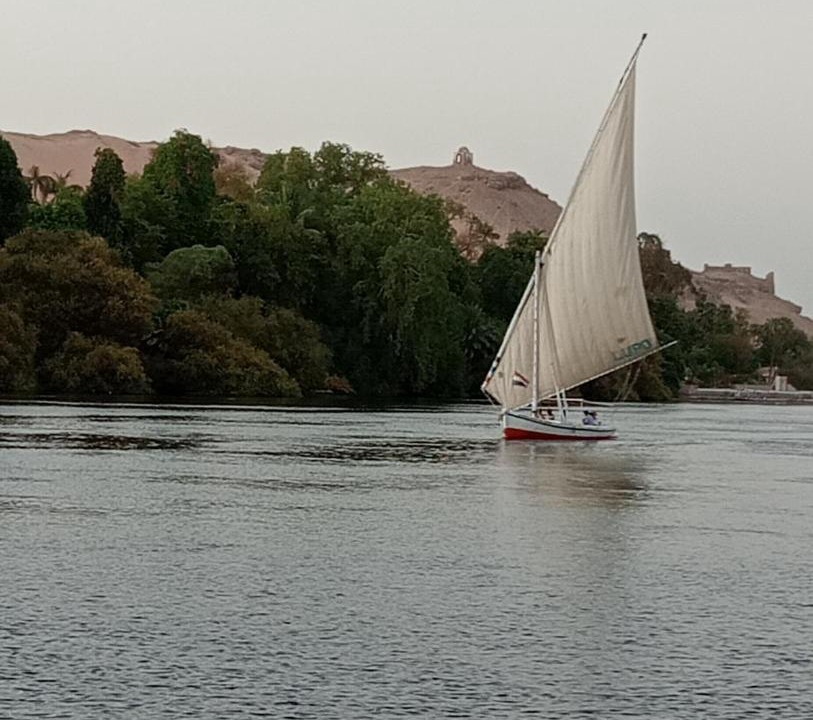 Photo of Others in Aswan