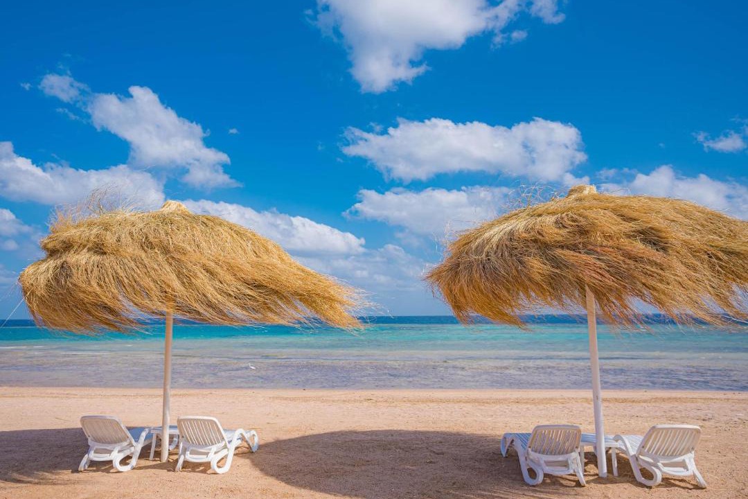 Photo of Others in Marsa Alam